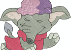 elephant 8 5x7
